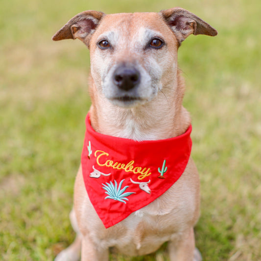 Cowboy Bandana